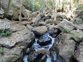 Waterfall at Maredumilli