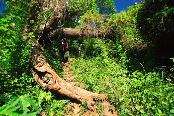 Simhachalam trekking experience