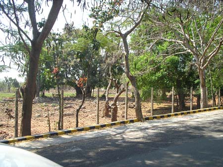 Walk way for devotees