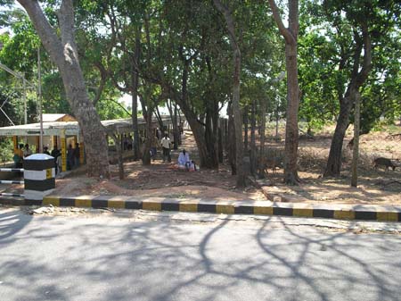 Walk way for devotees