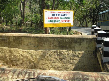 Dear Park on the way