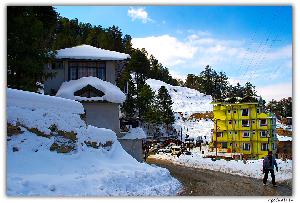 Shimla in Winter