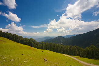 valleyl view at Jalori pass
