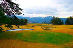 Naldehra Golf Ground