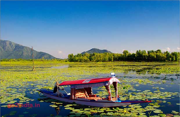 Shikara in Nigeen Lake at Srinagar