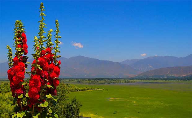 Wular Lake