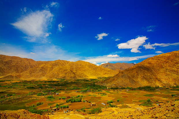 Ladakh travel packages