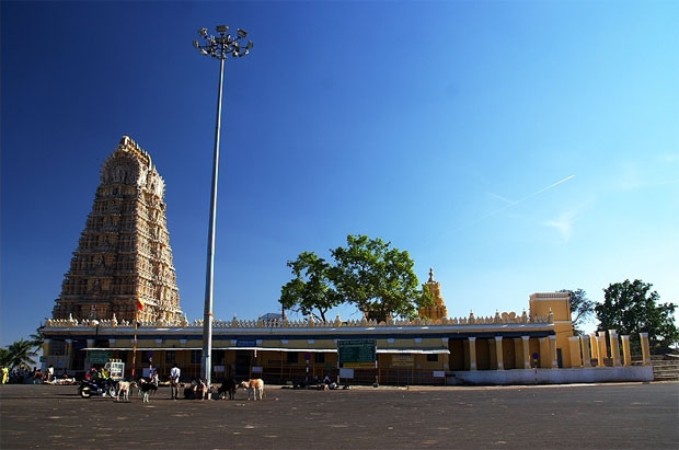 Bull at Chamnundeshwari temple