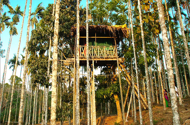 Tree Top house at Wayanad