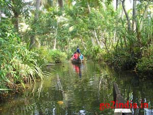 Backwater of Kerala in a country boat