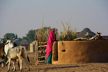 Dhaneli Village woman