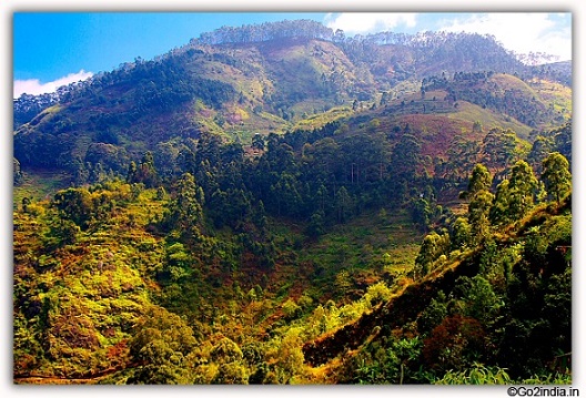 Valley view at Kodaikanal hills