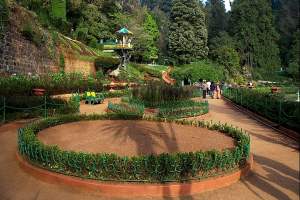 Ooty Botanical gardens