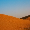 Sand Dunes and desert
