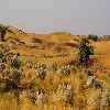 Sand dunes in Desert