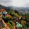 Valleys in Ooty