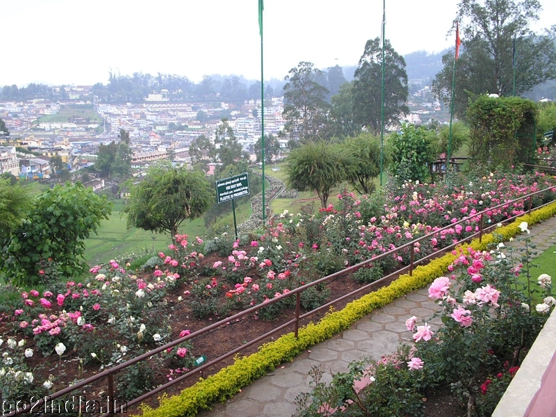 Ooty town and rose garden