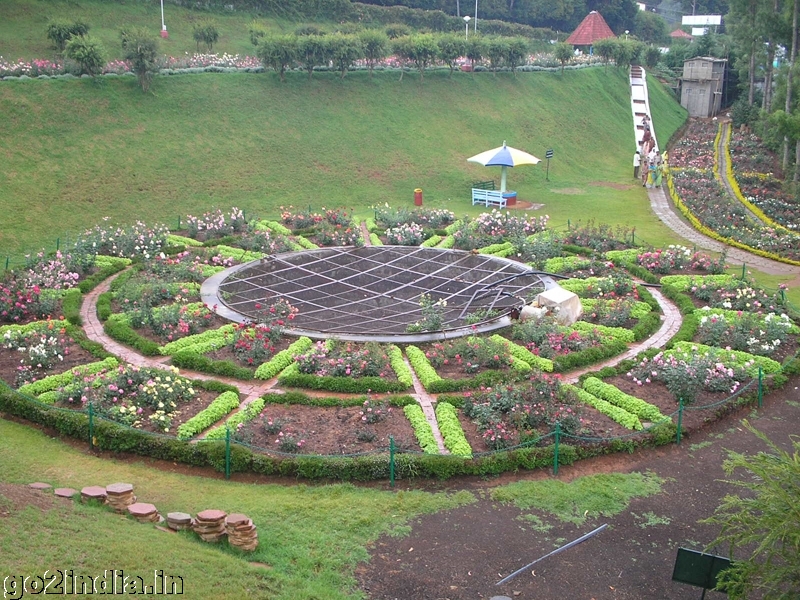 Flowers inside Ooty rose garden