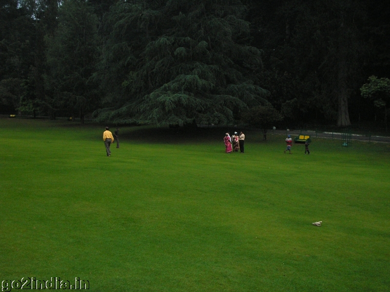 Green Lawn inside Ooty Government botanical garden