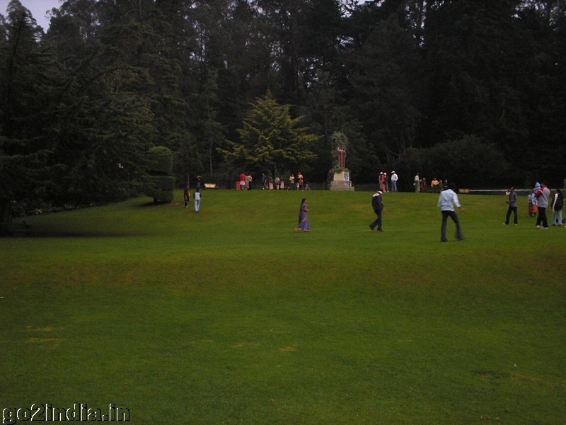 Green Lawn at Ooty botanical garden