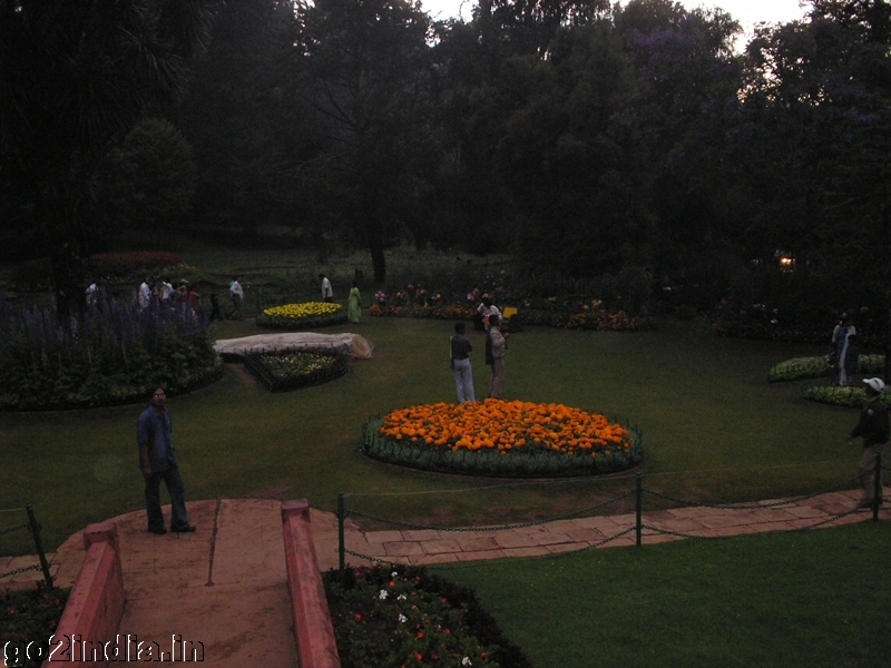 Flowers inside botanical garden Ooty