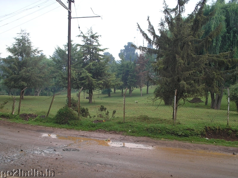 Ooty roads after rain
