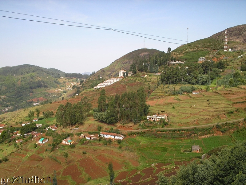 Ooty valley view