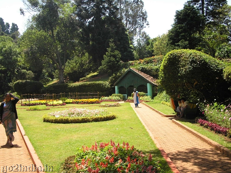 Coonoor Sims park