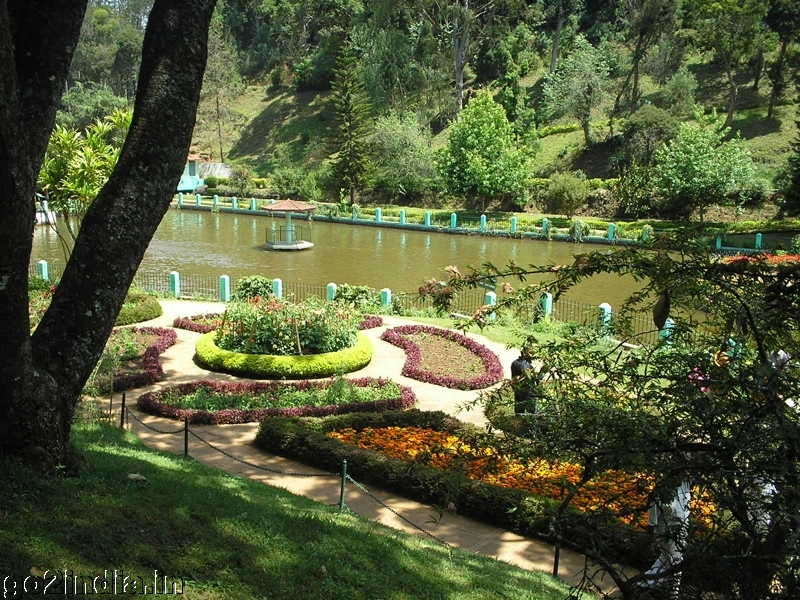 Inside the Coonoor sims park