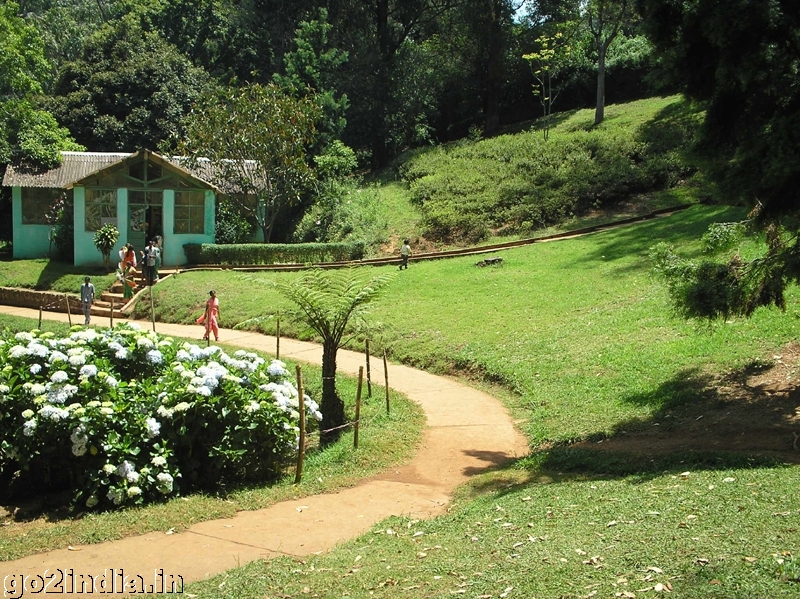 Inside Sims park at Coonoor