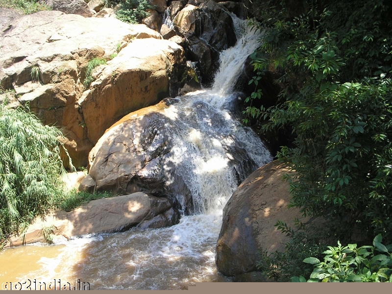 Laws fall at Coonoor