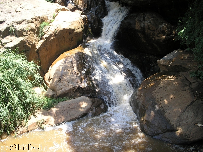 Laws fall at Coonoor