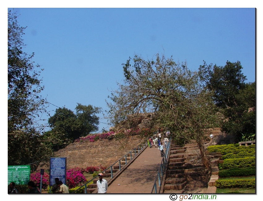 Approach road to Udaigiri caves