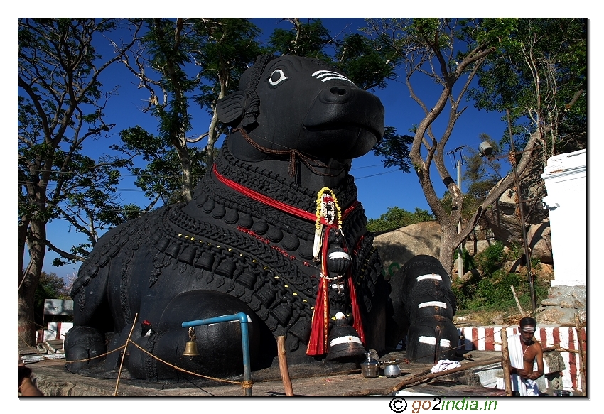 Nandi statue in Chamundi hills near Mysore