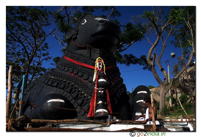 Nandi statue in Chamundi hills near Mysore