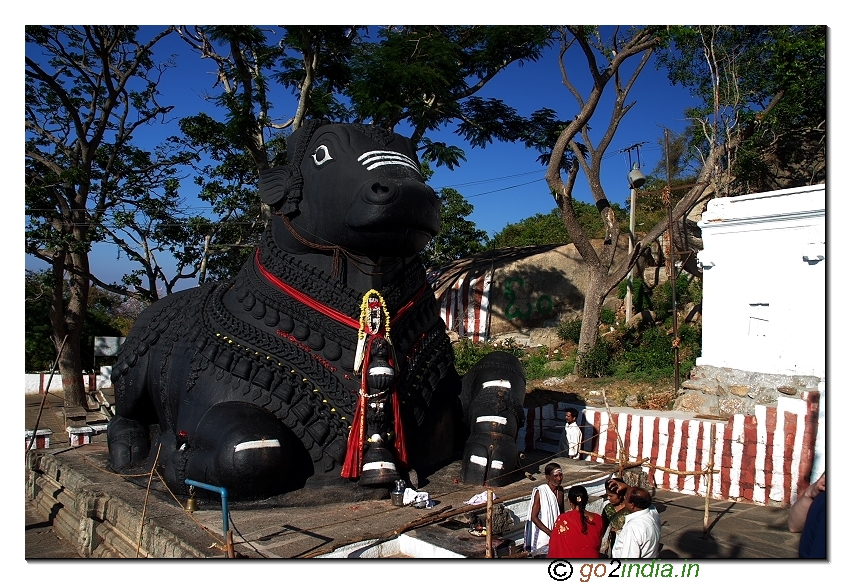 Nandi statue in Chamundi hills near Mysore