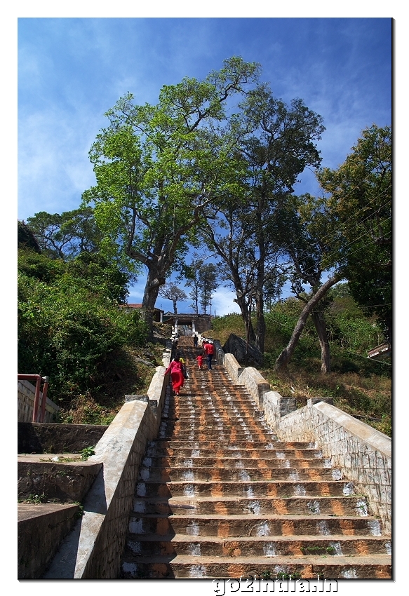 Biligiri Ranganatha temple steps in BR hills