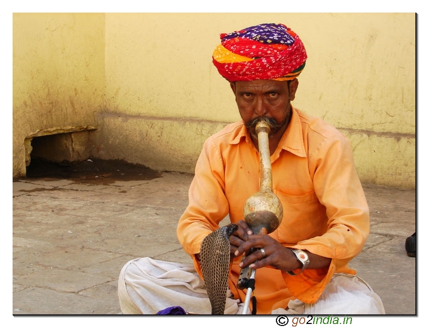 Snack charmer at Rajasthan