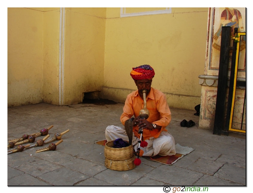 Snack charmer at Rajasthan