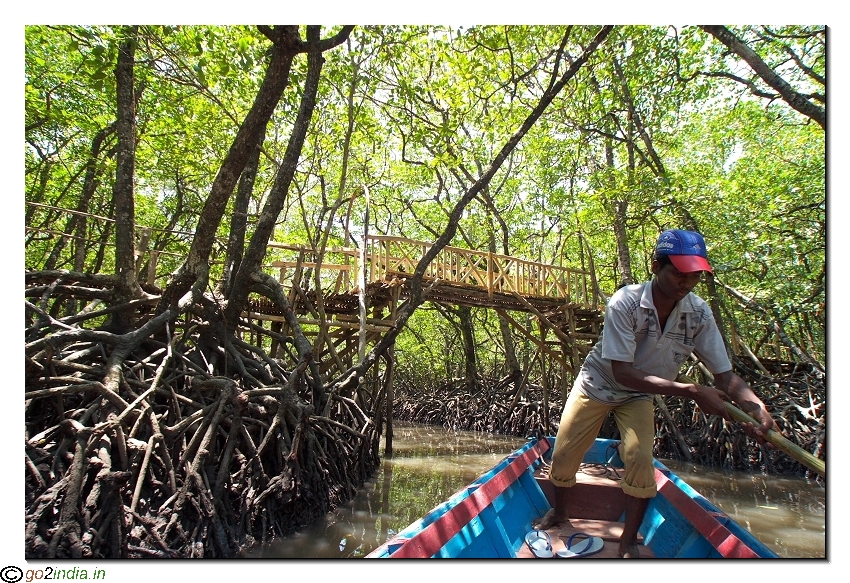 Motor boat journey from Baratang to limestone caves inside forest