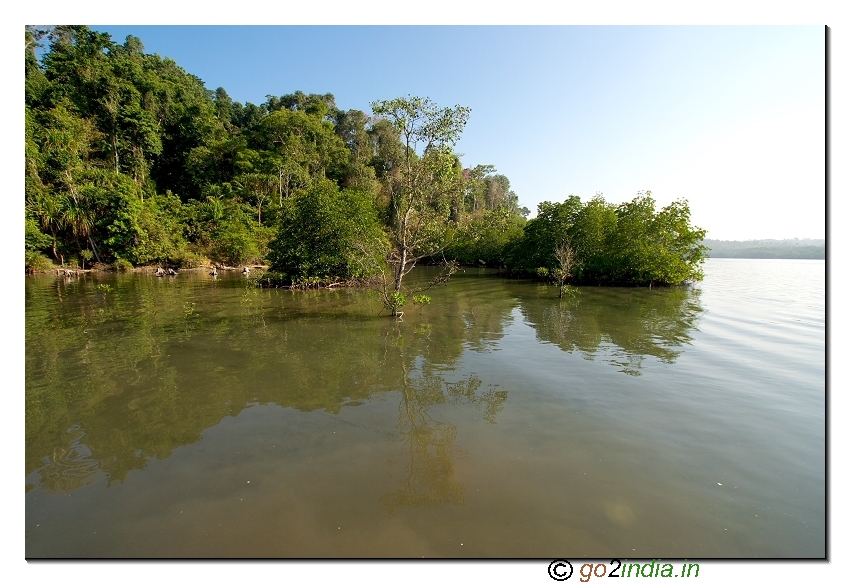 Sea and landscape at Baratang mid point in Andaman