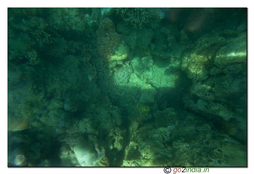 Under water coral view in North bay of Andaman islands