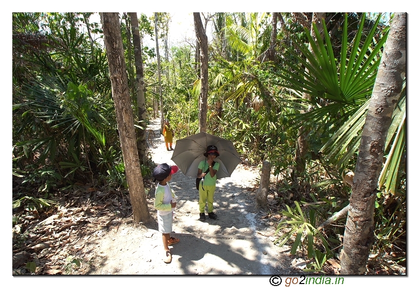 Step to reach  mud volcano near Baratang of Andaman