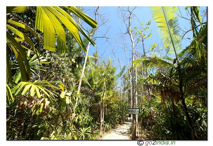 Walk way to reach mud volcano near Baratang of Andaman