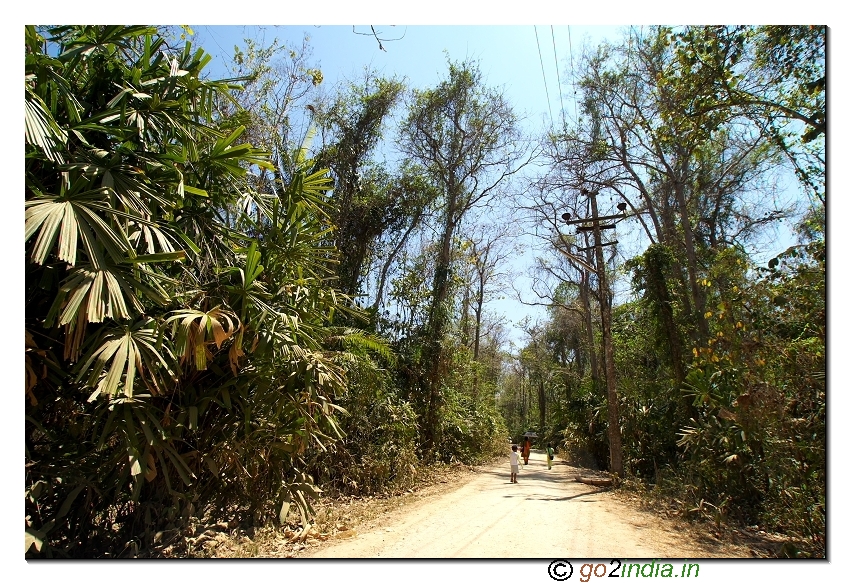 Way to mud volcano near Baratang of Andaman