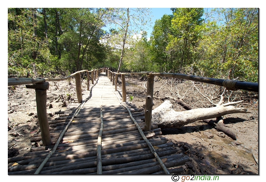 Walk way to limestone caves in Baratang on Andaman