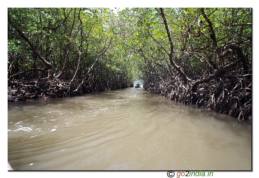 Sea water at bay to reach limestone caves in Baratang of ANdaman