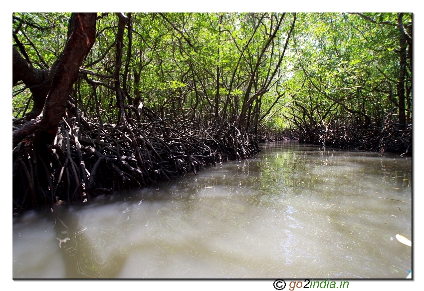 Sea water at bay to reach limestone caves in Baratang of ANdaman