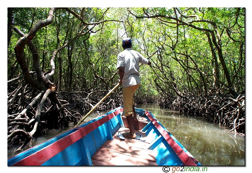 Boat journey at Bay to reach limestone caves at Baratang of Andaman