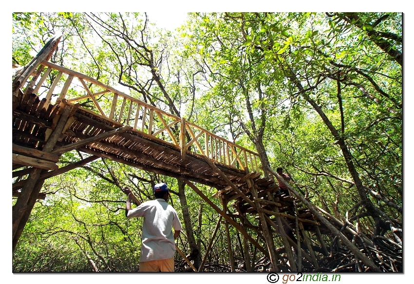 Forest watch point at bay near limestone cave of Baratang in Andaman